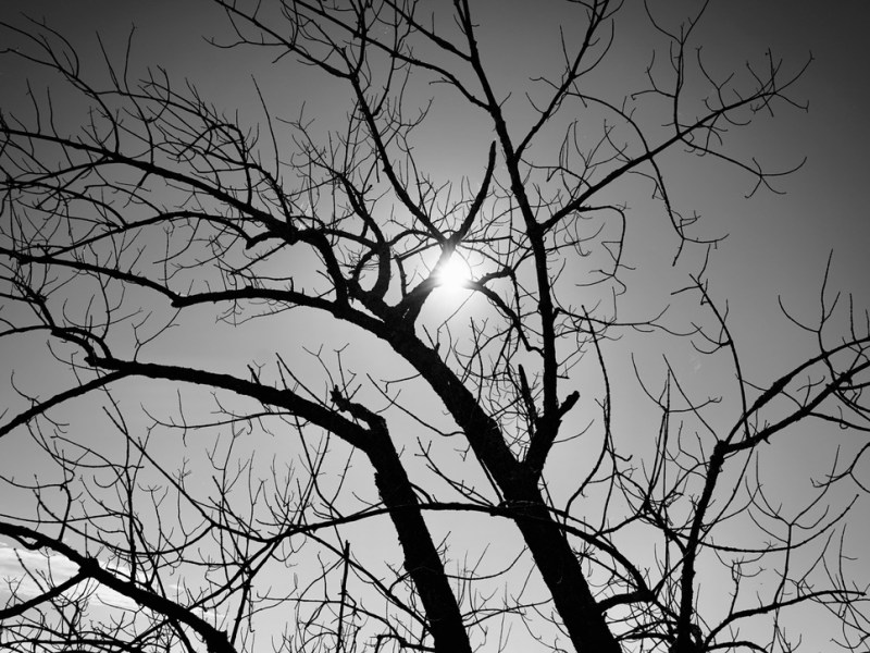 Faithfulness Without Feeling&nbsp;Inspired