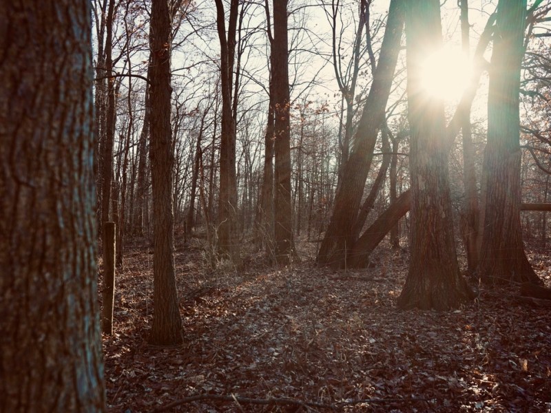 Goals Rooted in Peace, Purpose, and&nbsp;Preparation