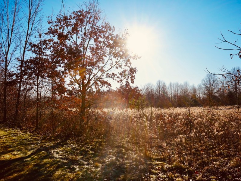 Slow Morning Rhythms: Creating a Peaceful Start to Your&nbsp;Day