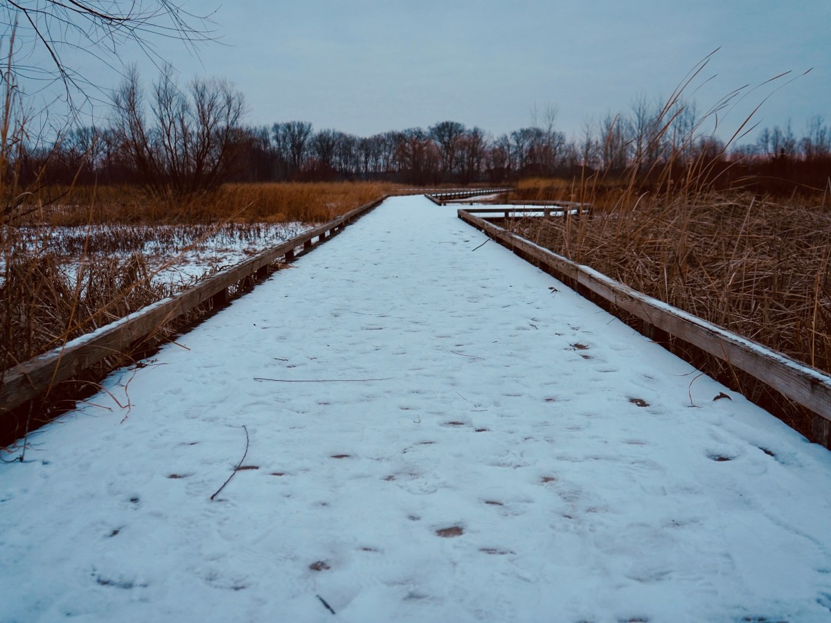 Fully Alive in the Quiet of Winter 