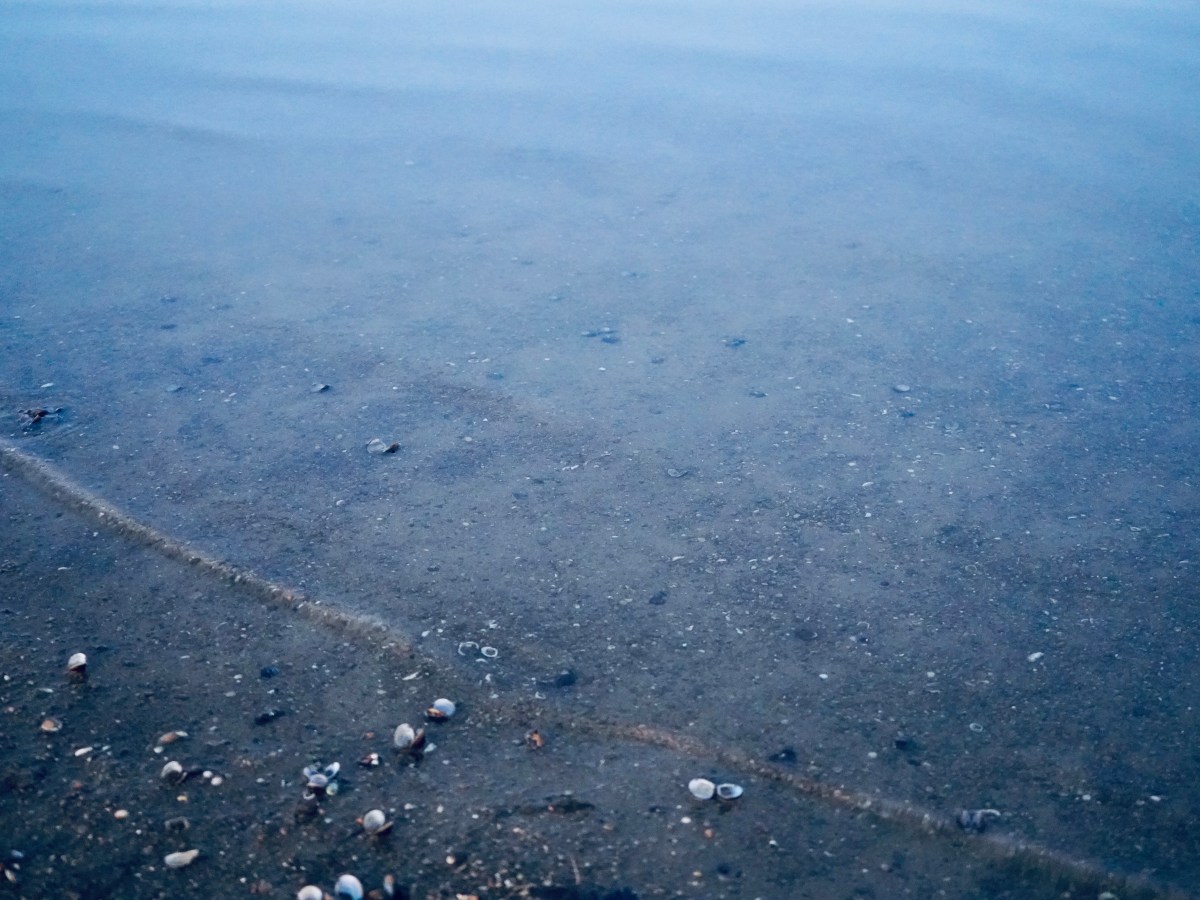 The Power of Silence and&nbsp;Solitude