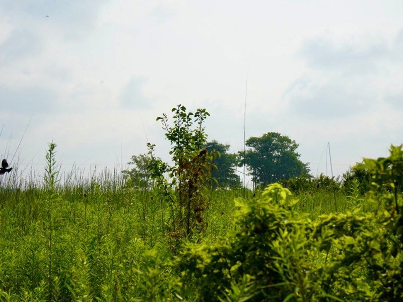 The Art of Noticing: Answering the Call to&nbsp;Adventure